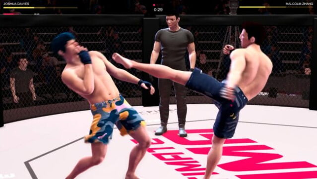 Ultimate MMA PC Screenshot